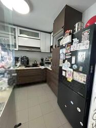 Blk 1B The Pinnacle@Duxton (Bukit Merah), HDB 5 Rooms #489660191